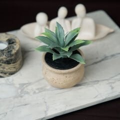 Barattolo Minyatür Saksı