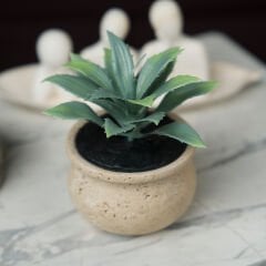 Barattolo Minyatür Saksı